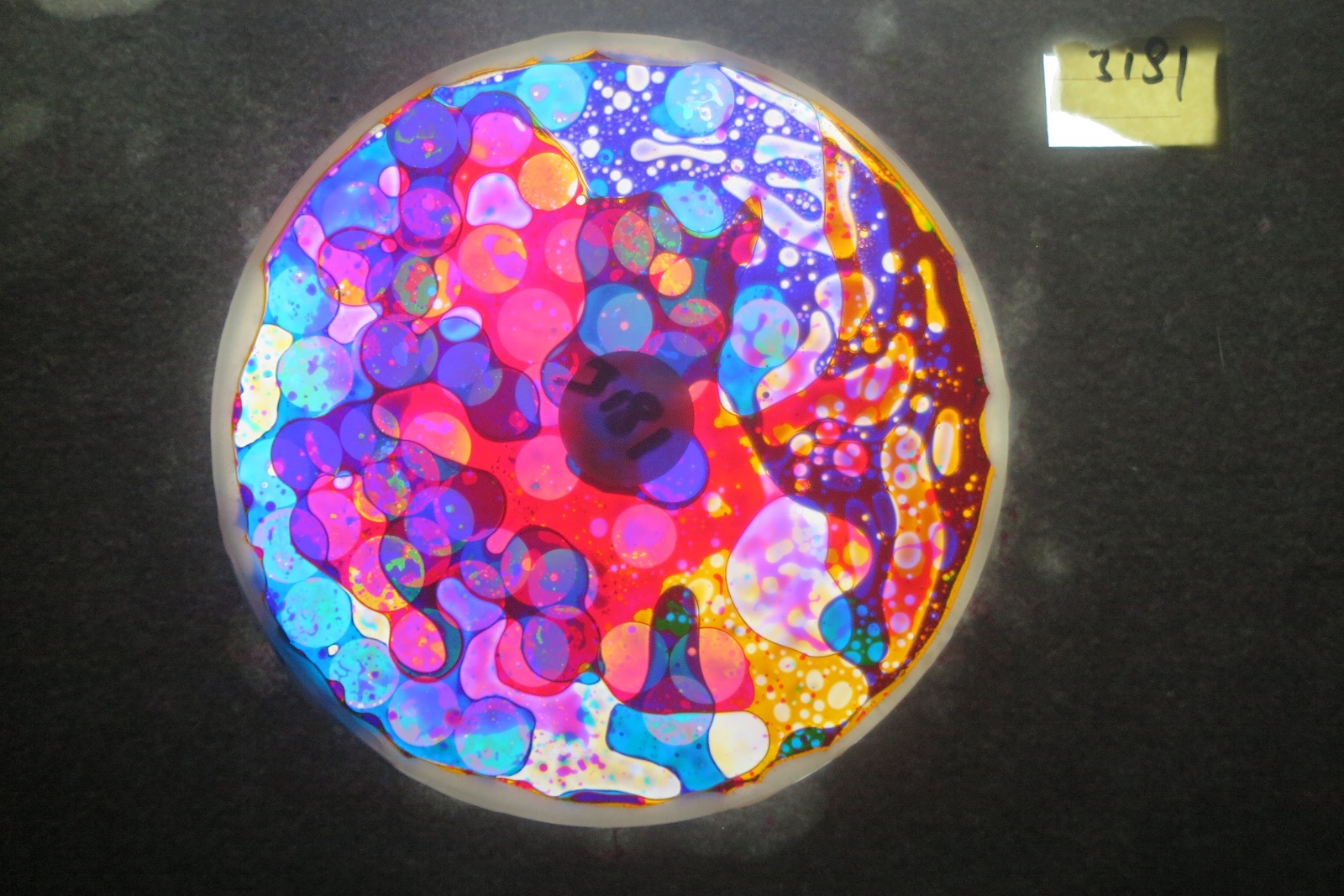 BV3181 bubble vision oil wheel